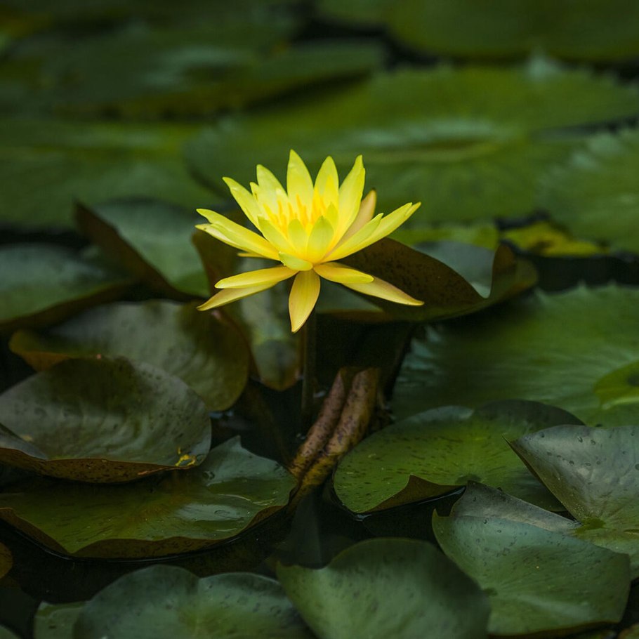 Схема АТХ блока питания на tl494