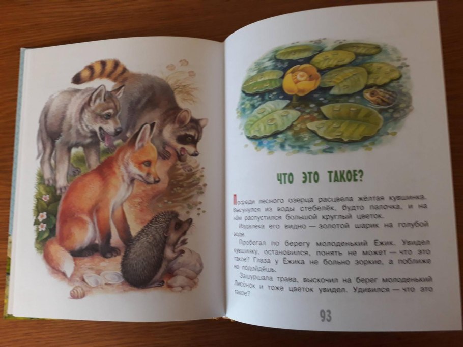 Эдуард ШИМ "Лесные истории"