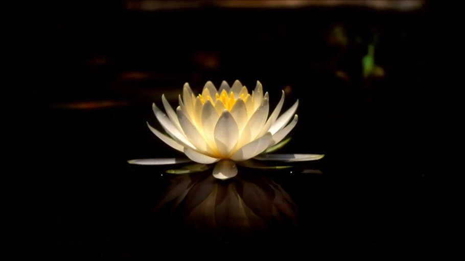 Схема осциллятора на ir2153