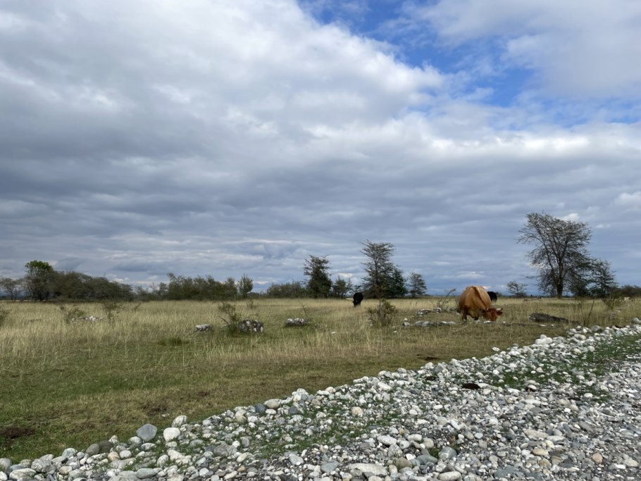 Разрез почвы рисунок