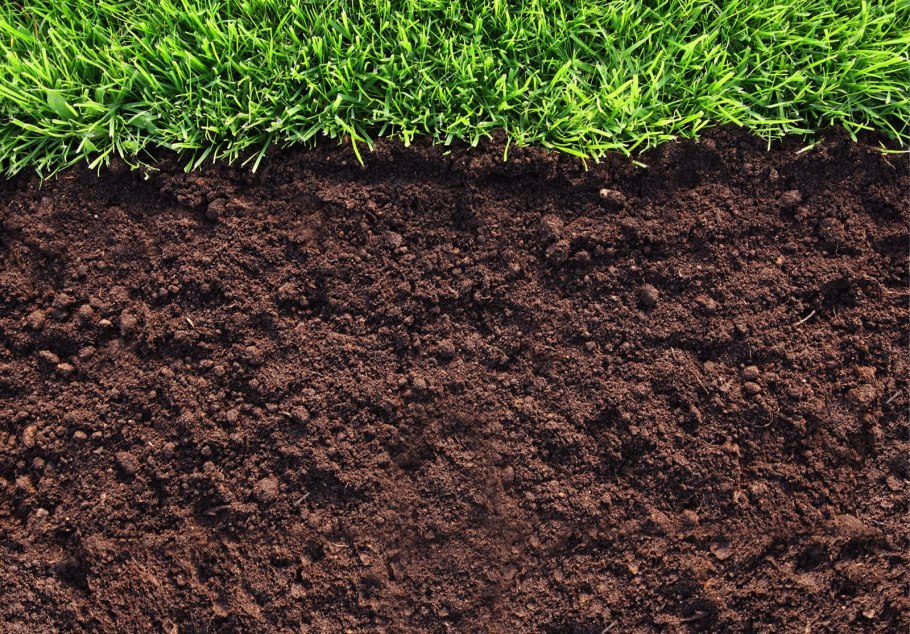 Супер песчаные почвы