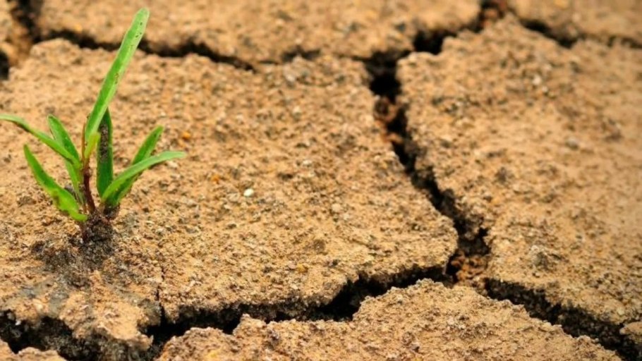 Деградация почв опустынивание