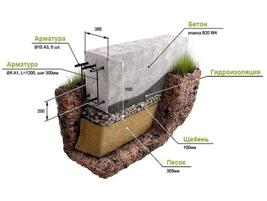 Растения песчаных пустынь