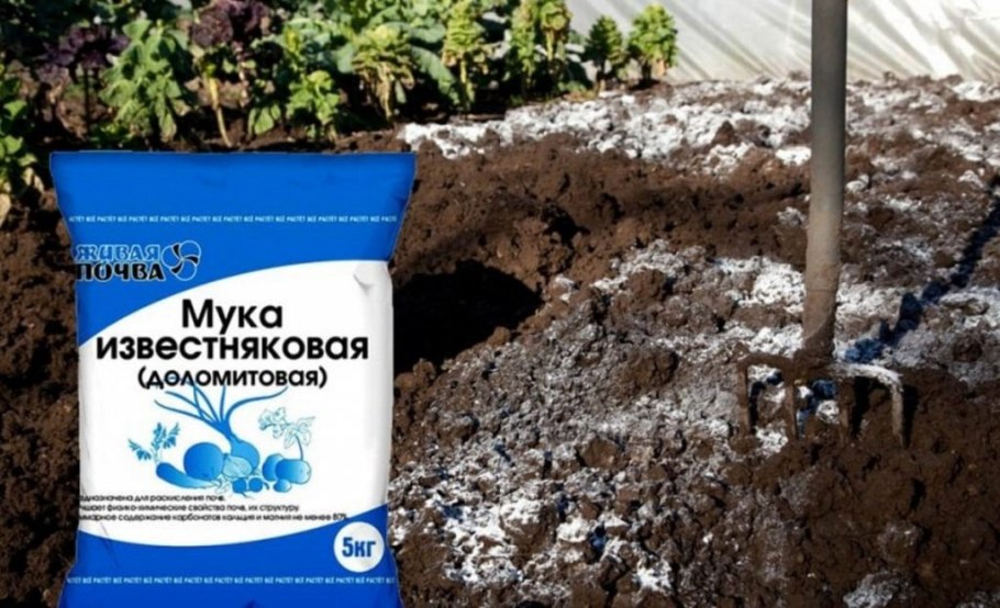 Щебень песок чернозем перегной