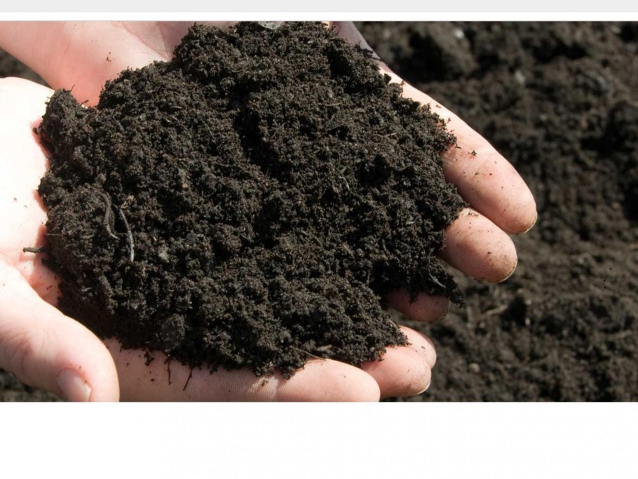 Песчаный цветок