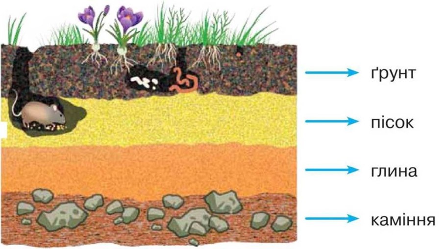 Плодородная почва чернозем