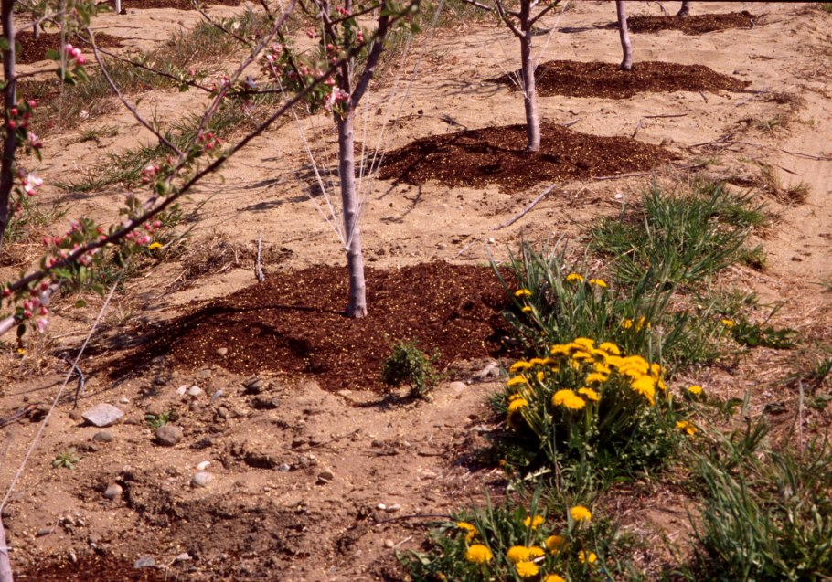 Истощенные почвы