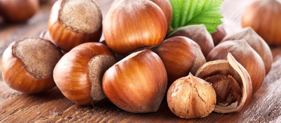 Лещина Колхидская