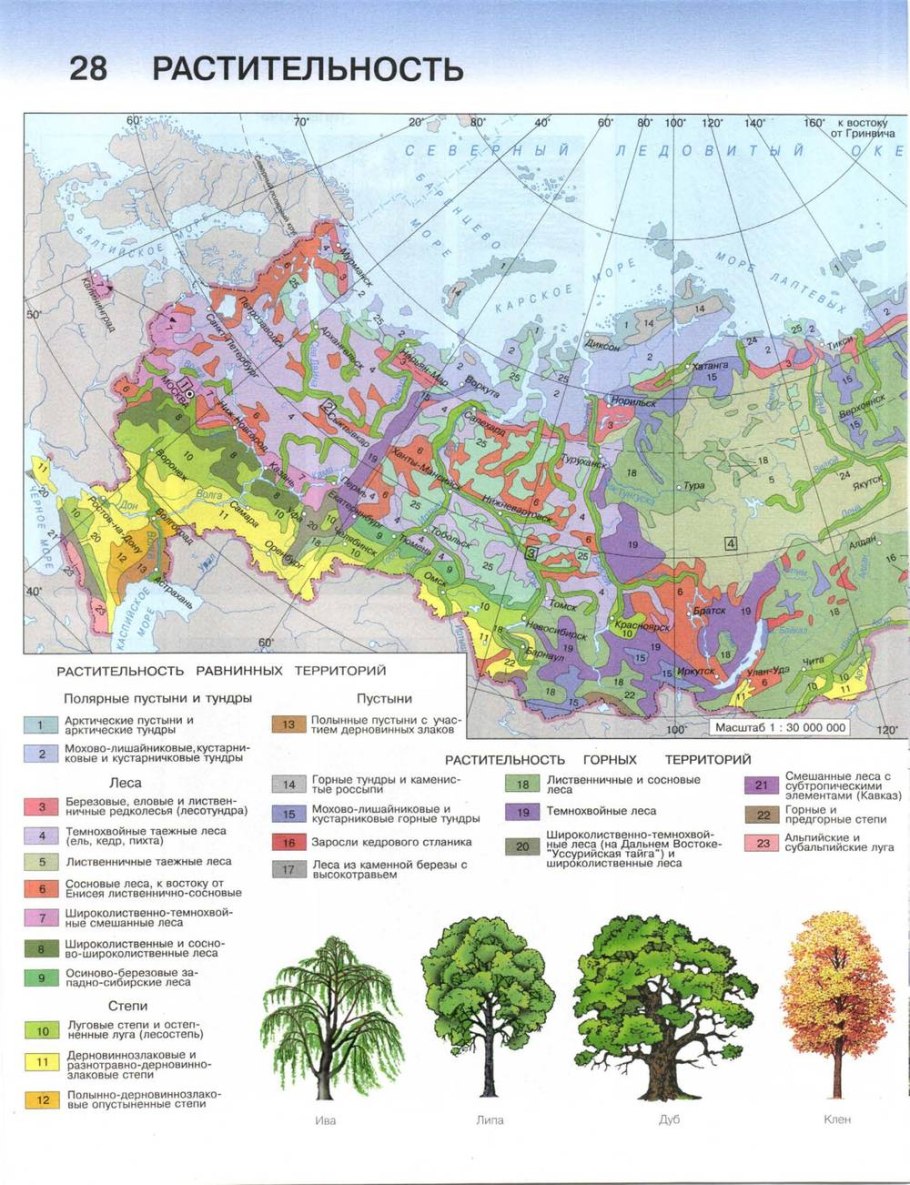 Карта растительности России 8 класс атлас