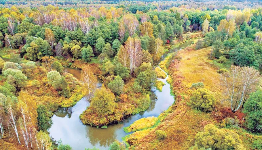 Нац. Парк Калужские Засеки
