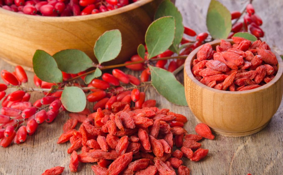 Барбарис обыкновенный колючки