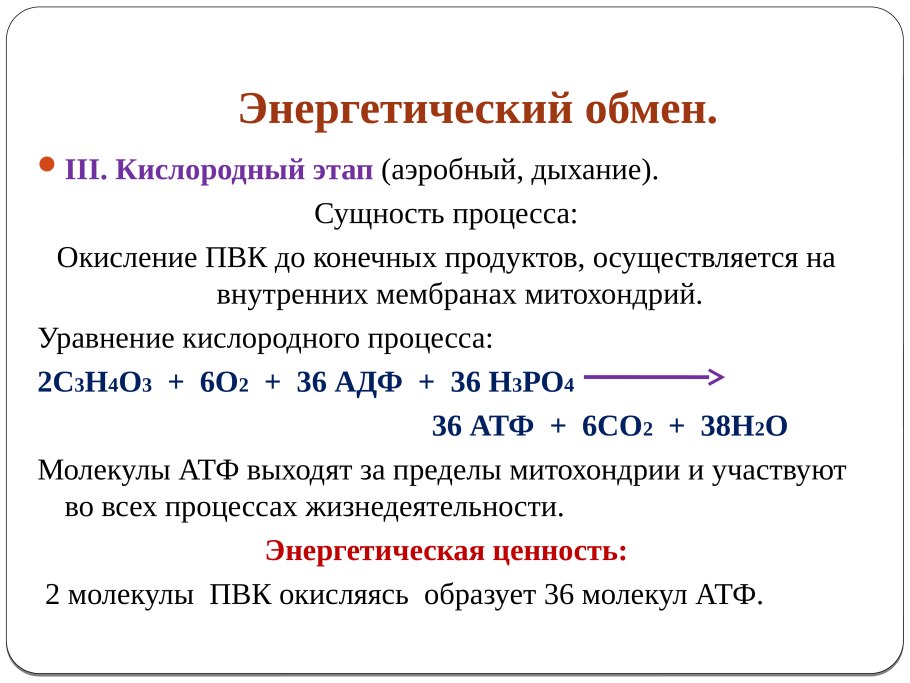 Этапы энергетического обмена кислородный этап