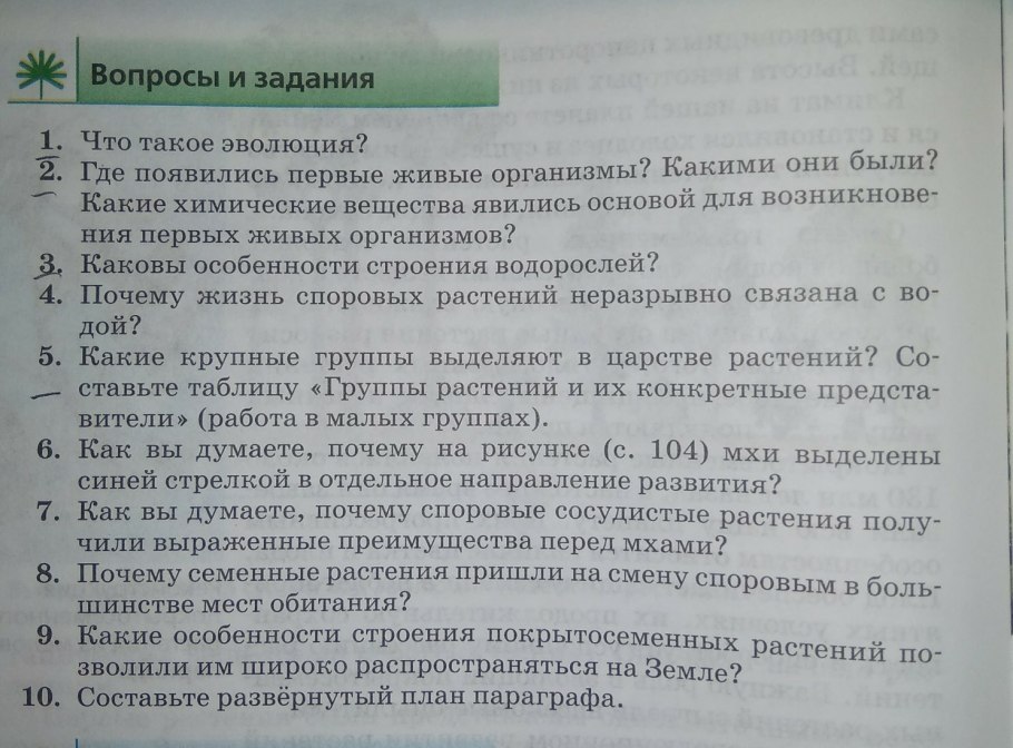 Цикл развития покрытосеменных схема