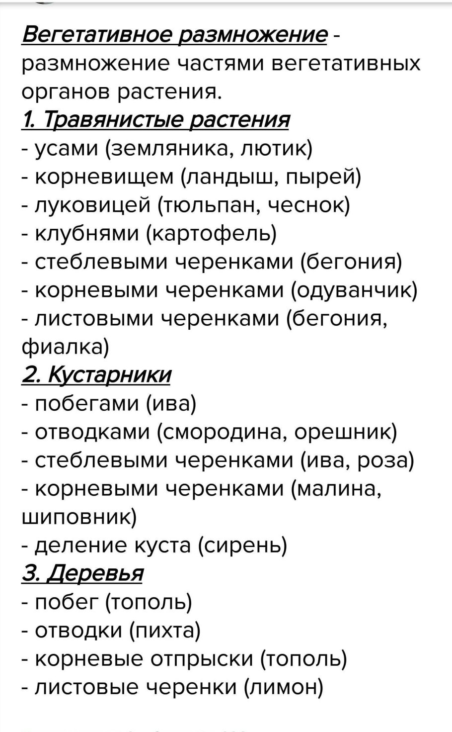 Размножения растений корнеклубнями