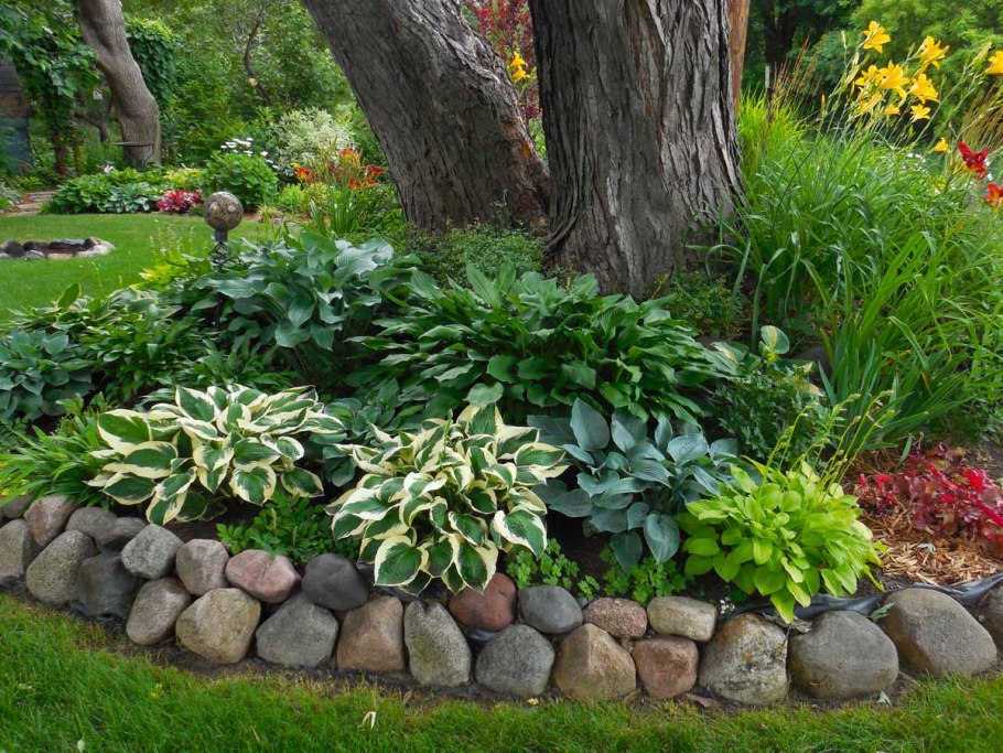 Сад с розами и хвойниками