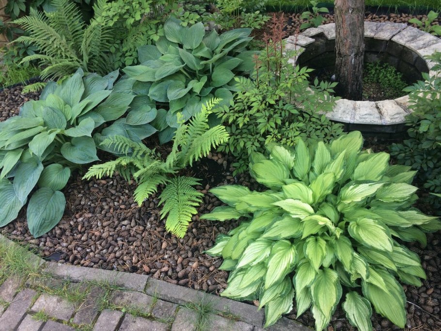 Койсман цветники