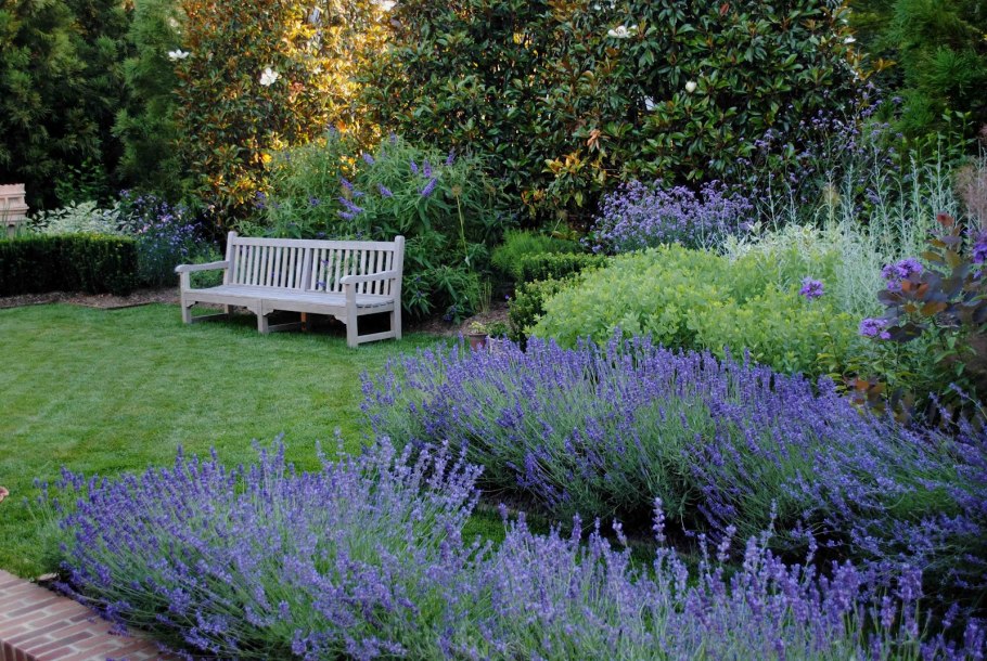 Вейник и шалфей