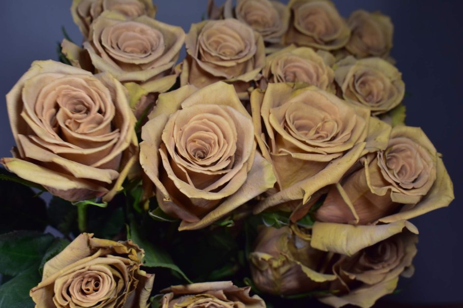 Букет невесты роза Тоффи