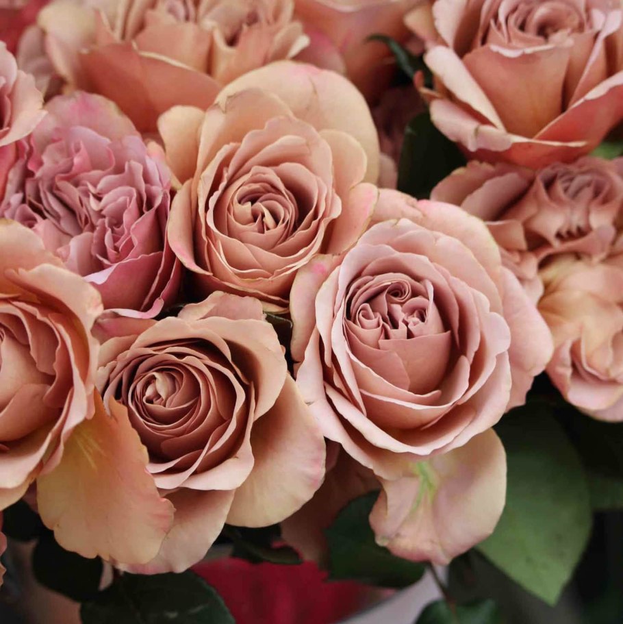 Букет с розой Тоффи