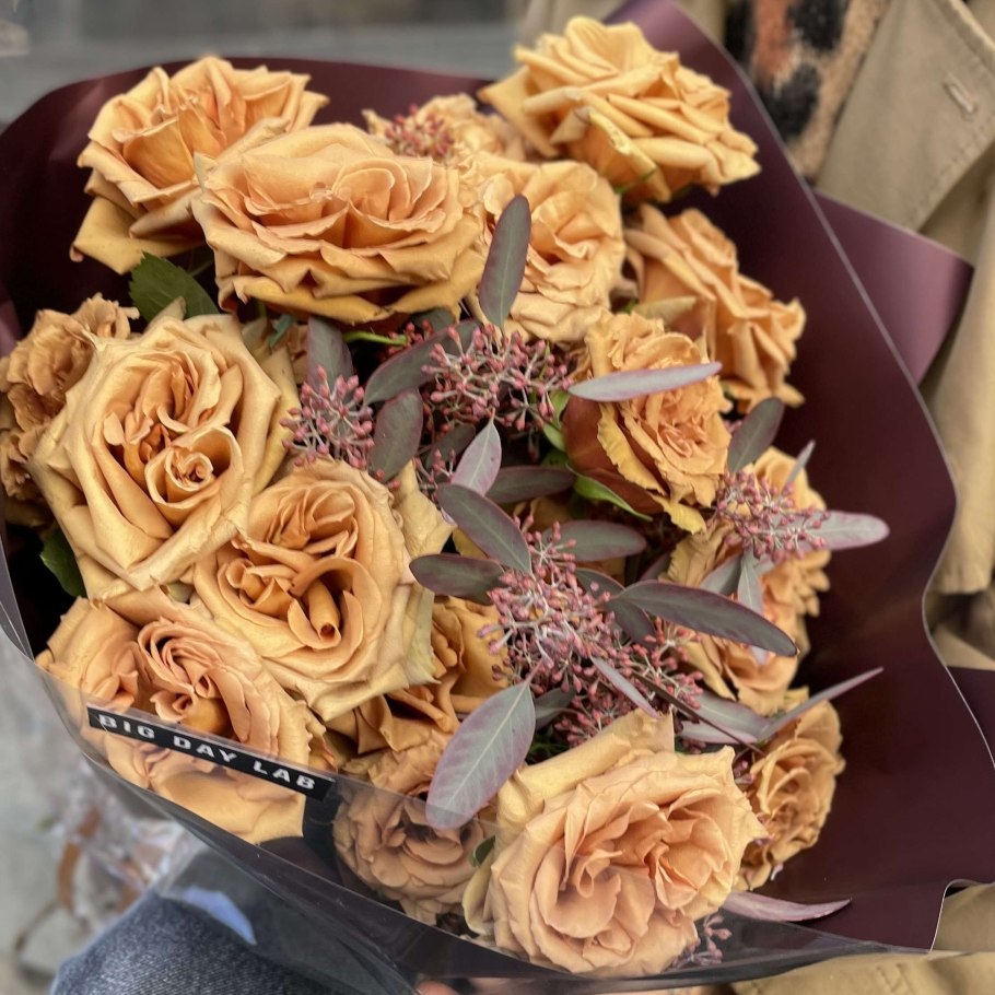 Роза Тоффи куст