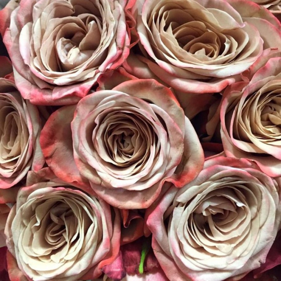 Букет из роз Тоффи