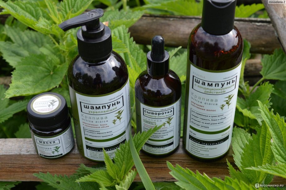 Вероника крапива Лесная