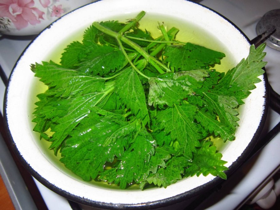 Пучок крапивы