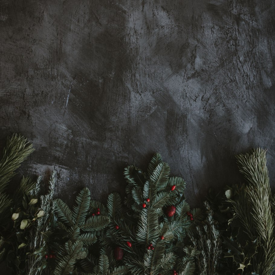 Силуэты хвойных деревьев