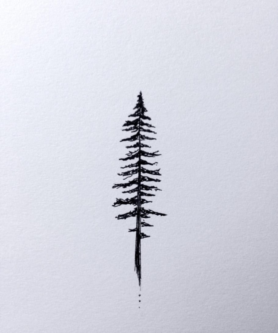 Ель на темном фоне