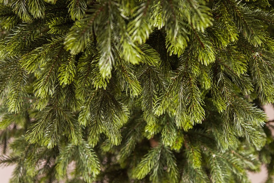 Елка черная плетеная