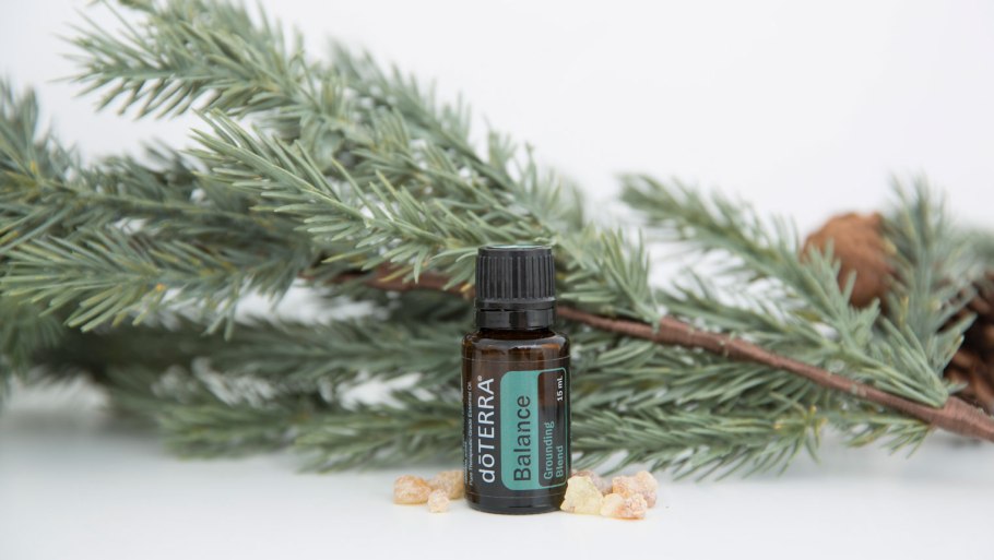 Черная елка искусственная