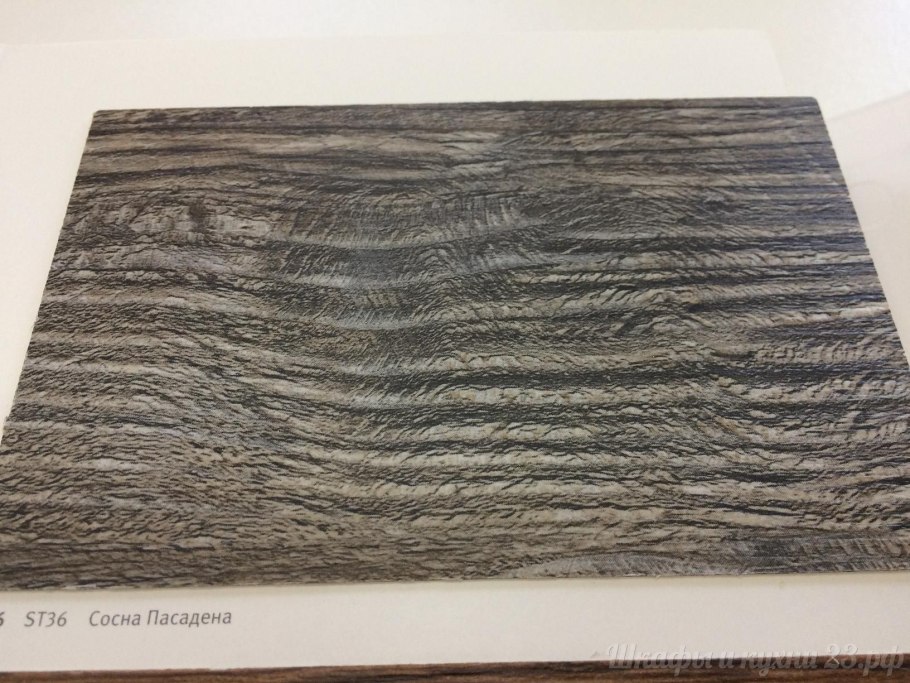 Сосна Джексон Пасадена