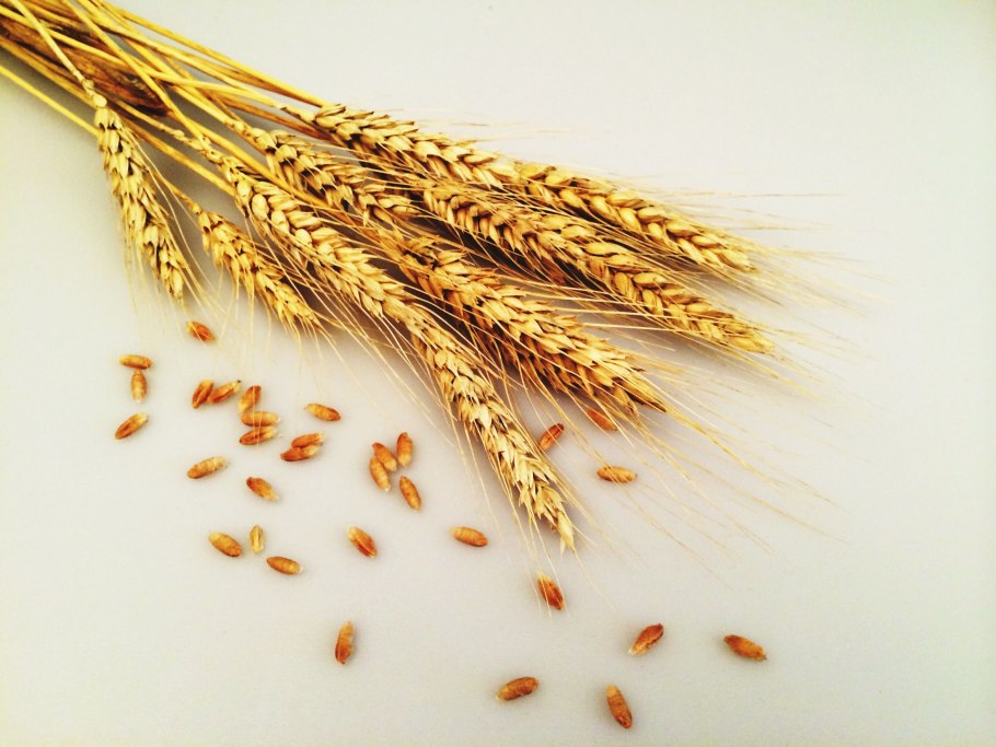 Вентилятор CENTEK CT-5030