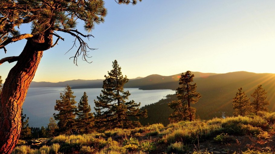 Байкальский заповедник Кедровый лес
