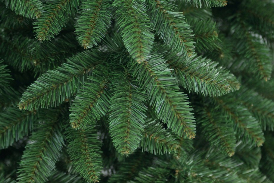 Сосна Тунберга Тандерхед