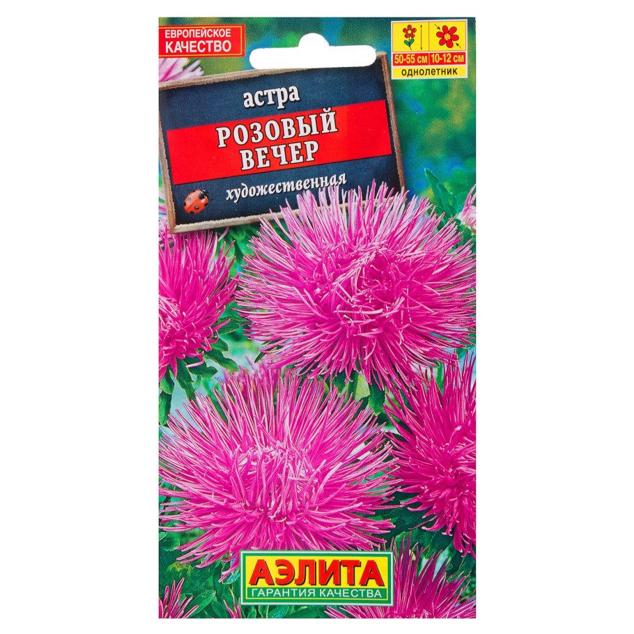 Астра розовый вечер (Аэлита)