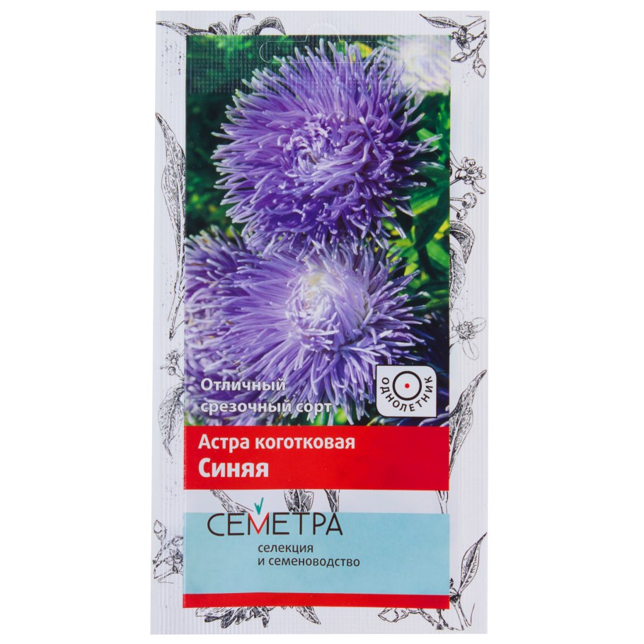 Астра Энигма коготковая