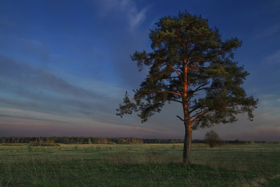 Парк природный мост Вайоминг