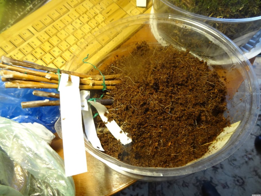 Субстрат для черенков