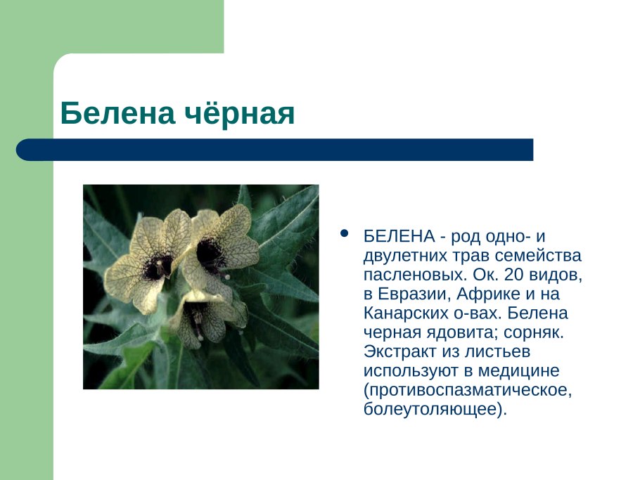 Диаграммы цветков семейства Лилейные