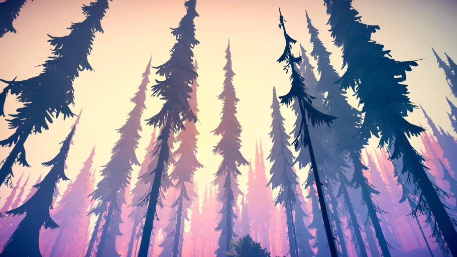 Лес в тумане