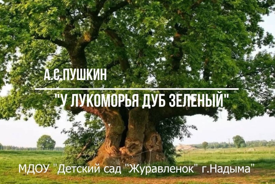 Дуб Европейский дерево