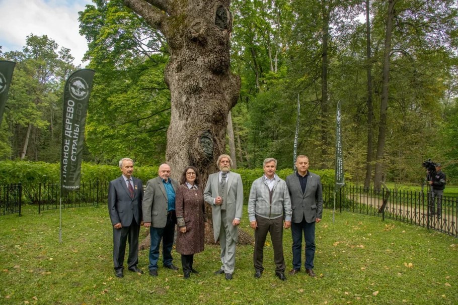 Дуб старейшина чувашских Дубов Чувашия