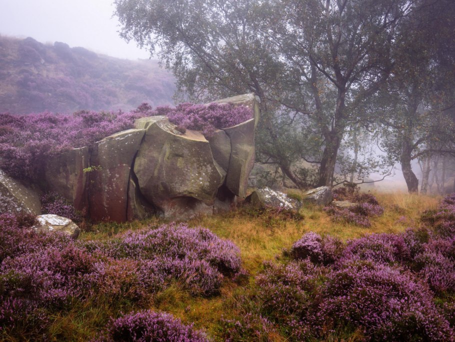 Вересковые пустоши Шотландии