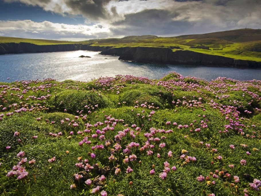 Шетландские острова, Шотландия