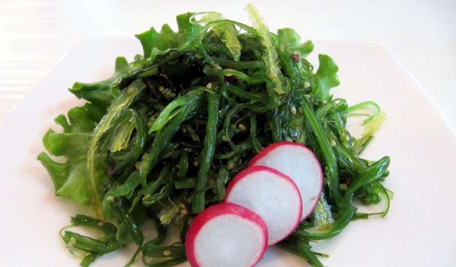 Энтероморфа водоросль