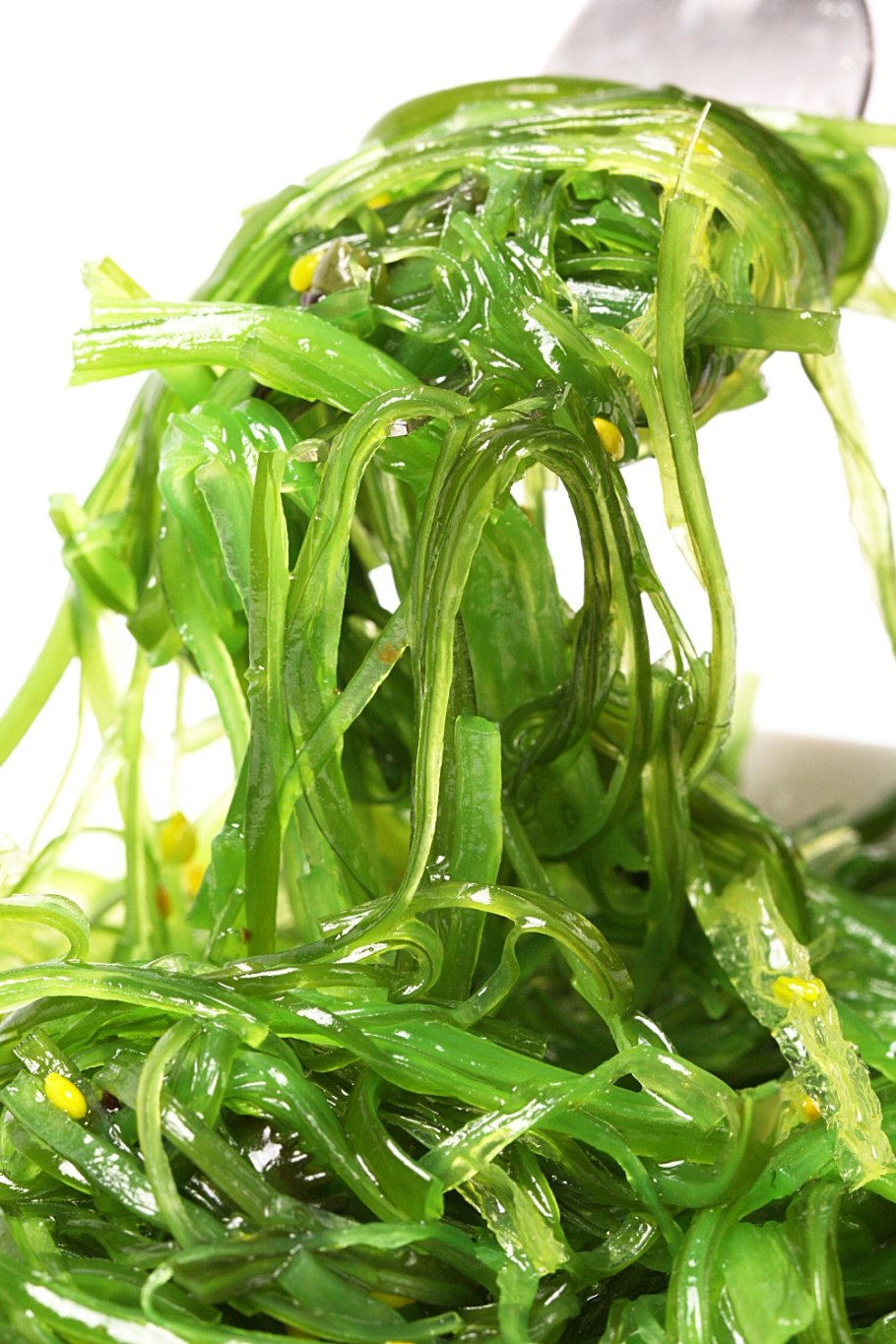 Микроводоросли спирулина