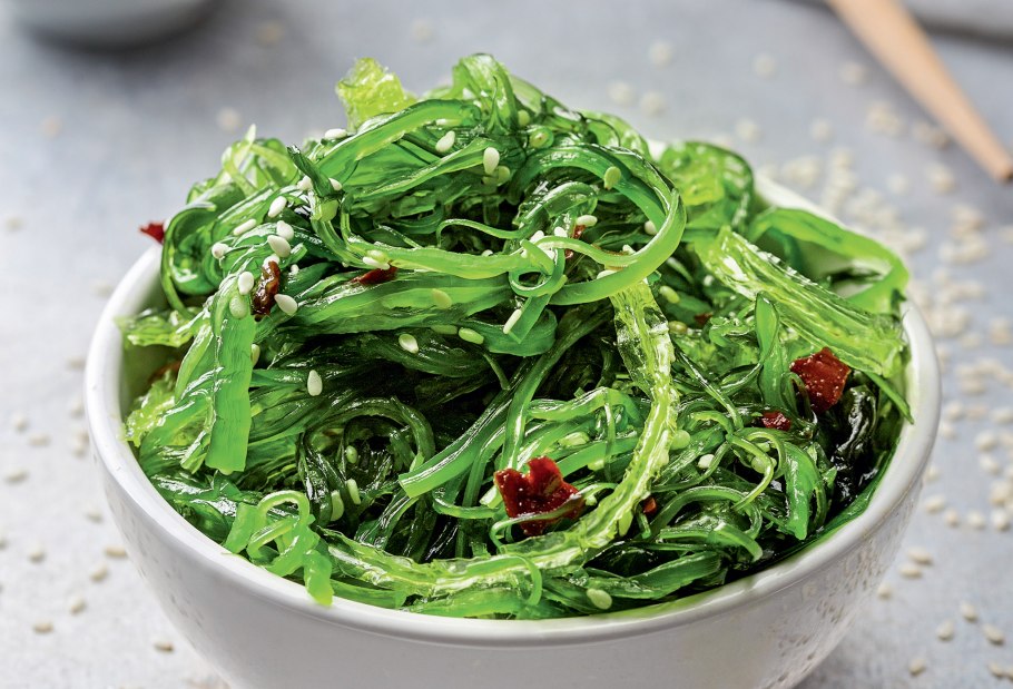 Зеленая водоросль Ульва