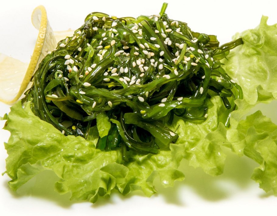 Черноморская энтероморфа