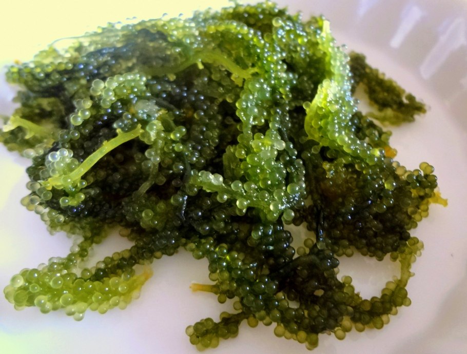 Морская капуста (ламинария) еда